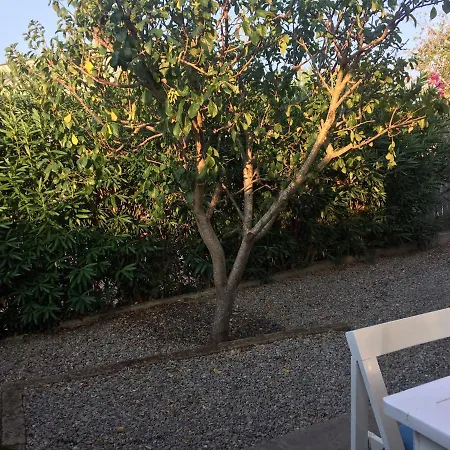 Apt. Calanchiole By Solturelba 卡波利韦里